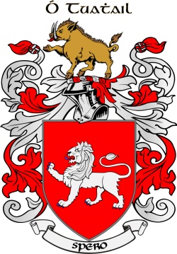 O'TOOLE family crest O'TOOLE family crest